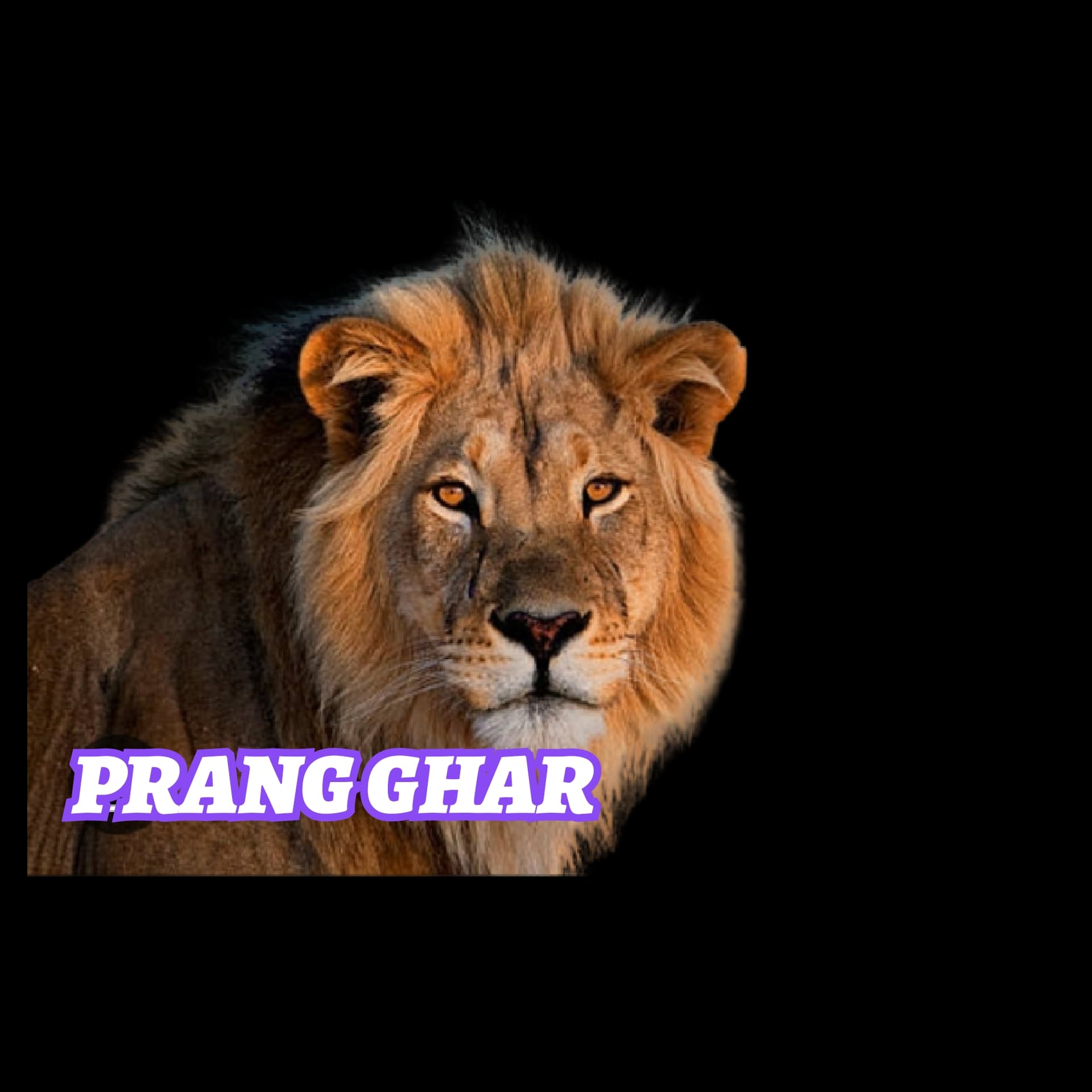 PRANG GHAR LIONS team logo