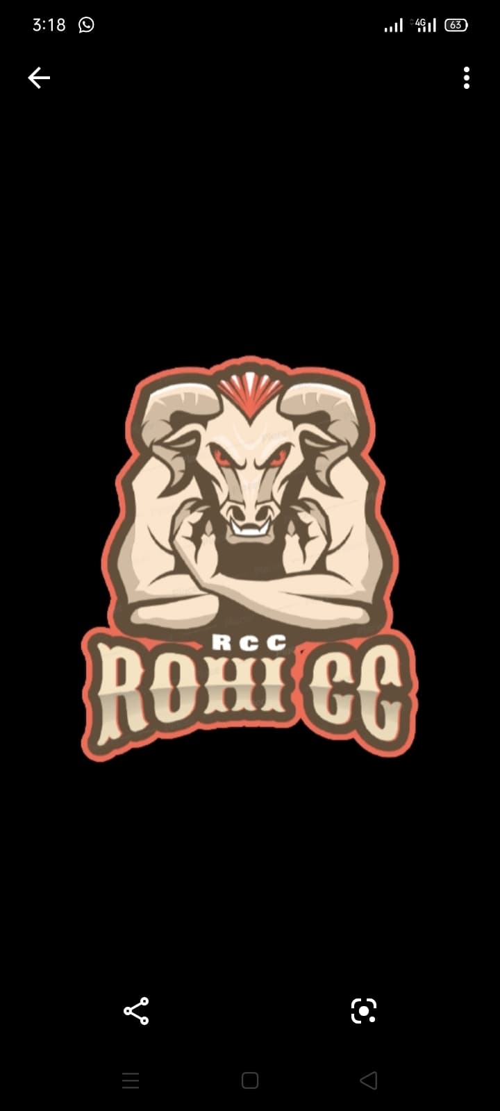ROHI CRICKET CLUB team logo