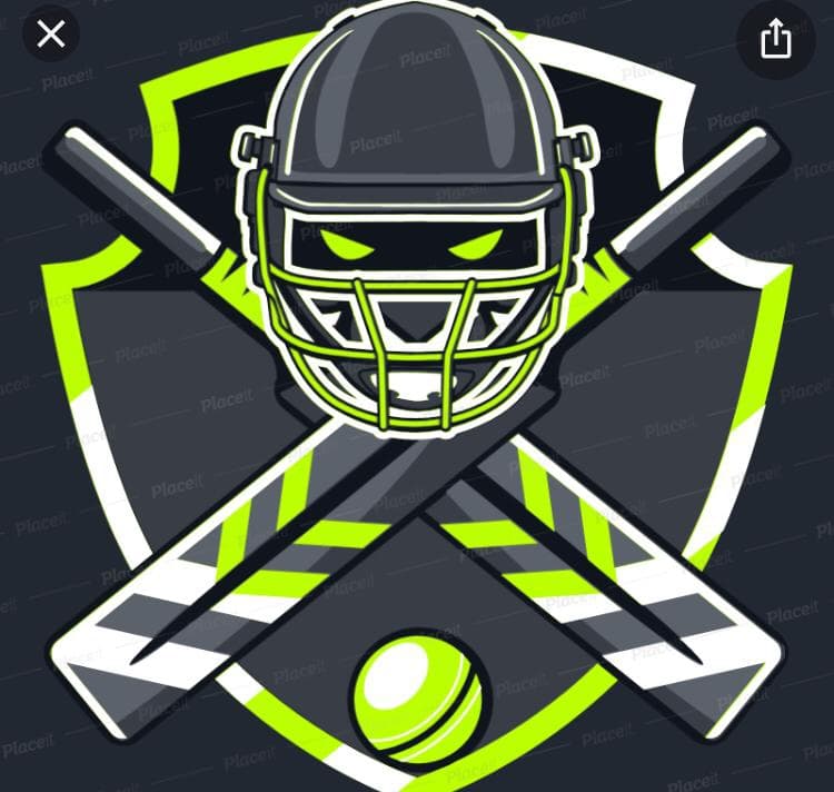 SHAHEEN CRICKET CLUB team logo