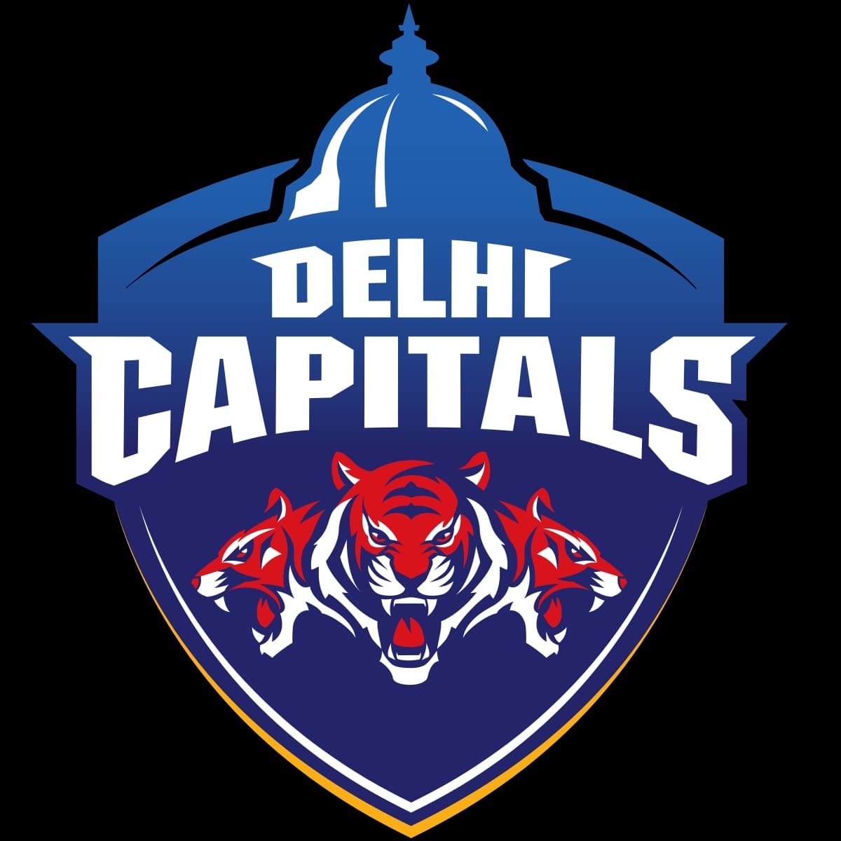 DELHI CAPITAL team logo