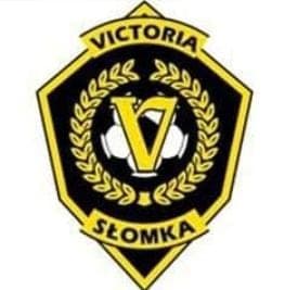 Victoria Xi team logo