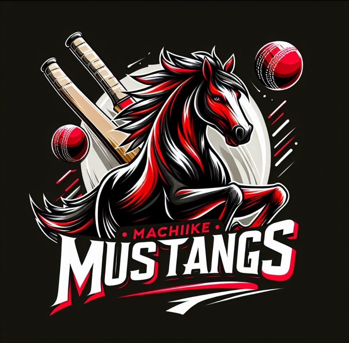Machike Mustangs