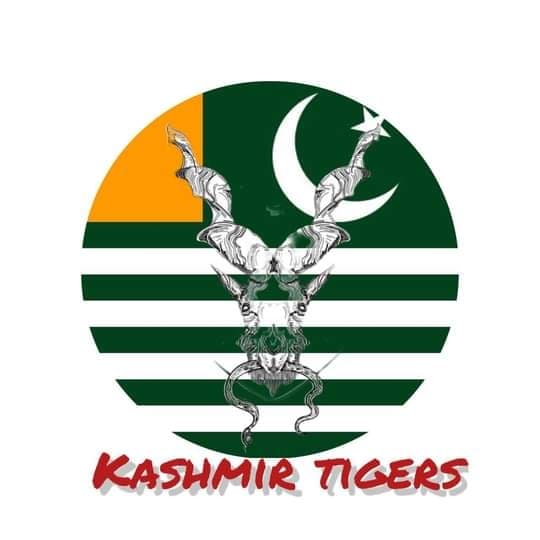 Kashmir Tigers team logo