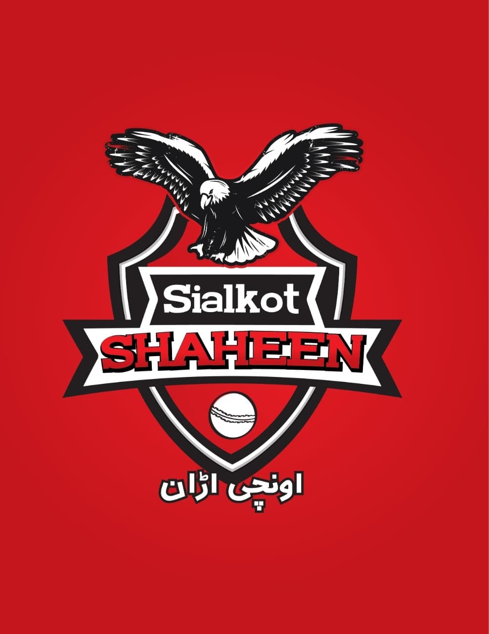 Sialkot Shaheens