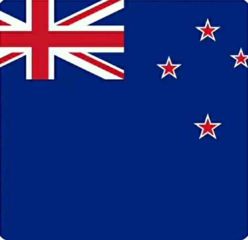 NEW ZEALAND ( YOUTH ) team logo