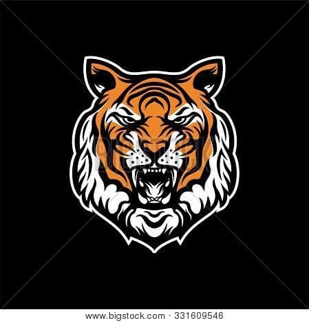 TDM TIGERS team logo