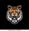 TDM TIGERS