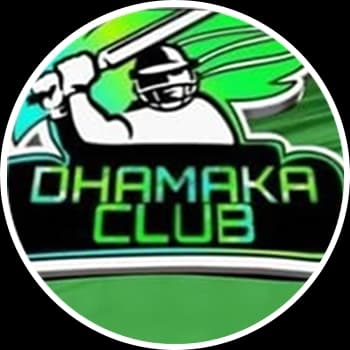 Delhi team logo