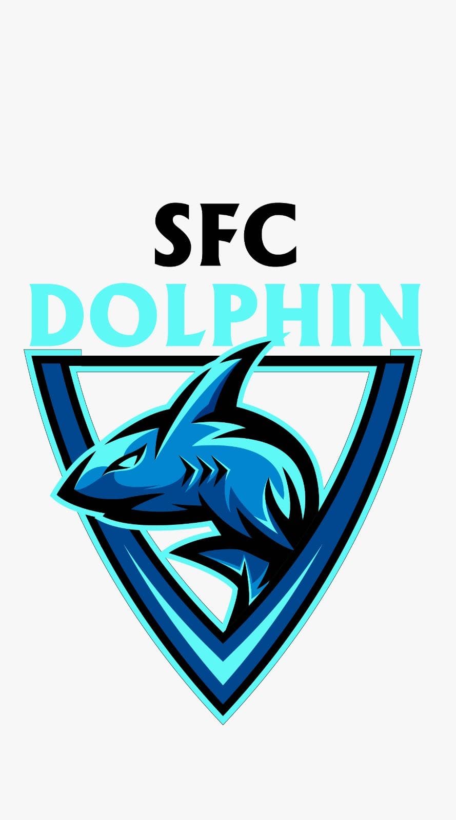 SFC Dolphin team logo