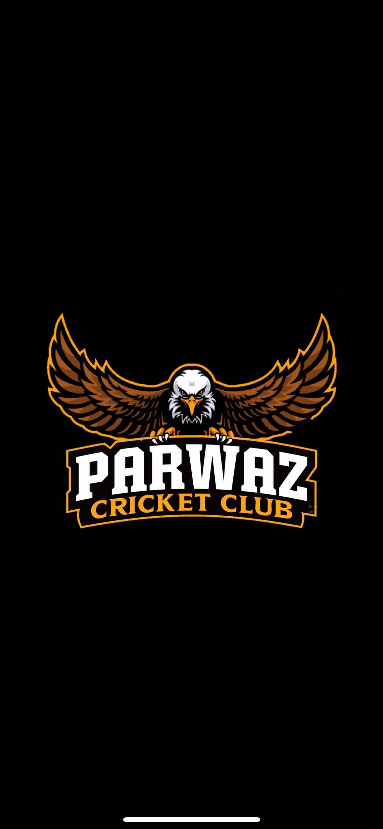 Parwaz Cricket Club Sabuana team logo