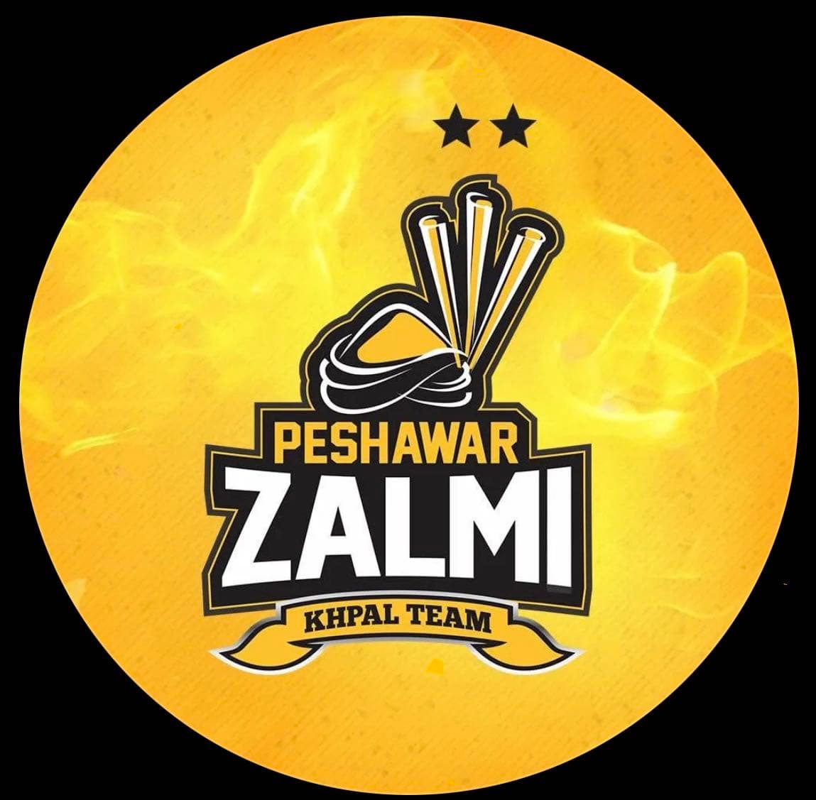 peshawar zalmi team logo