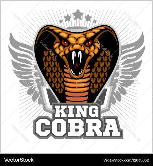 King Cobra