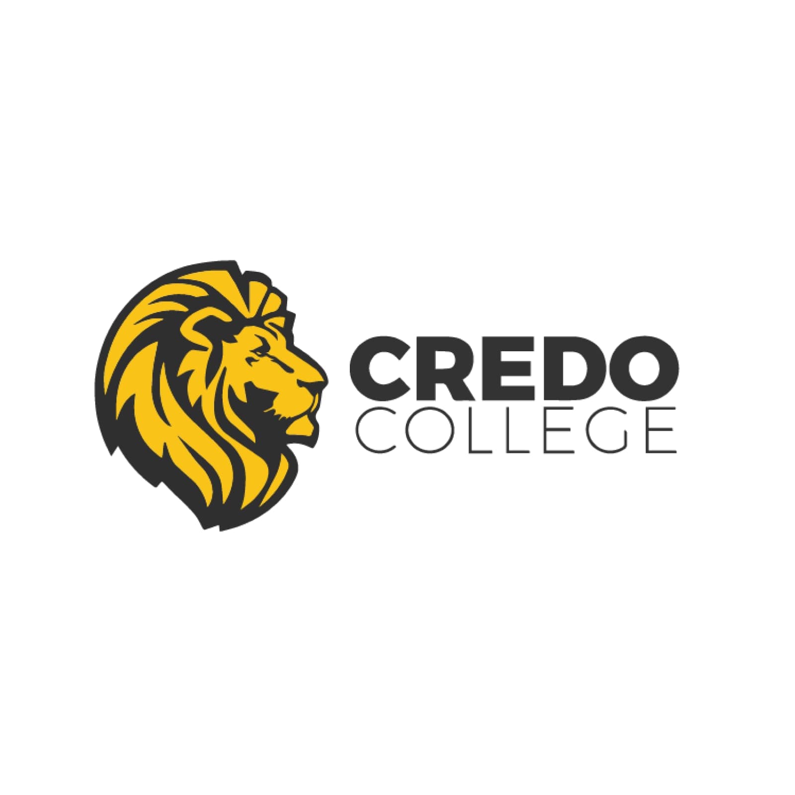 Credo Yellow team logo