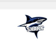 UOL SHARK team logo