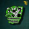 Rehmanabad Tigers