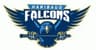 Haribaug Falcons