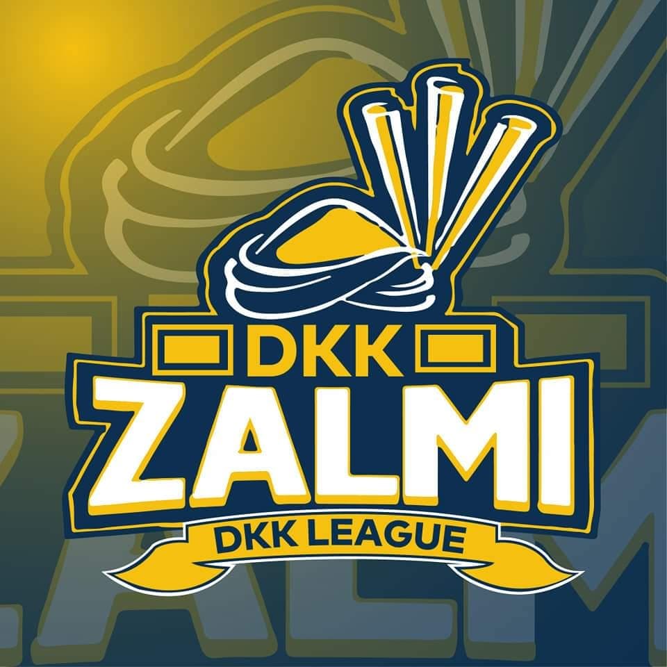 Dkk Zalm team logo