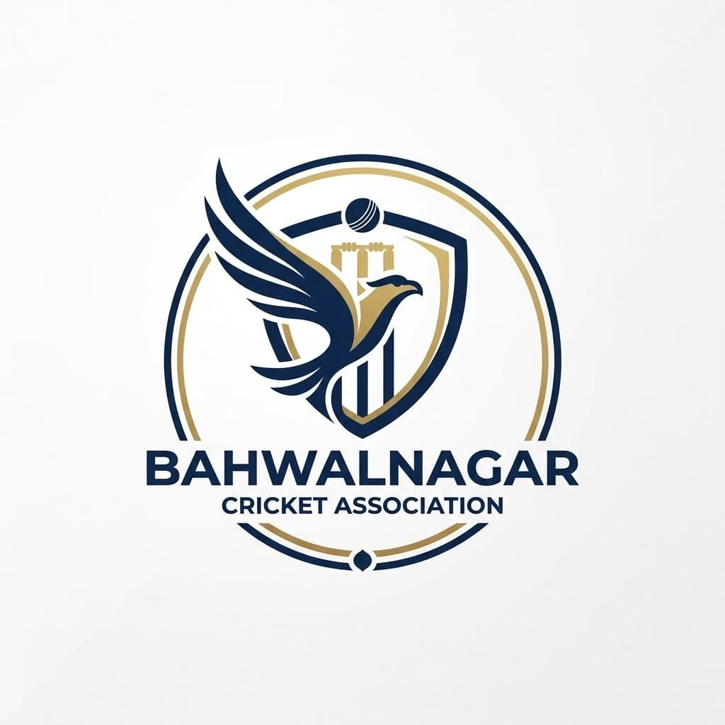 Bahawalnagar Cricket Association team logo