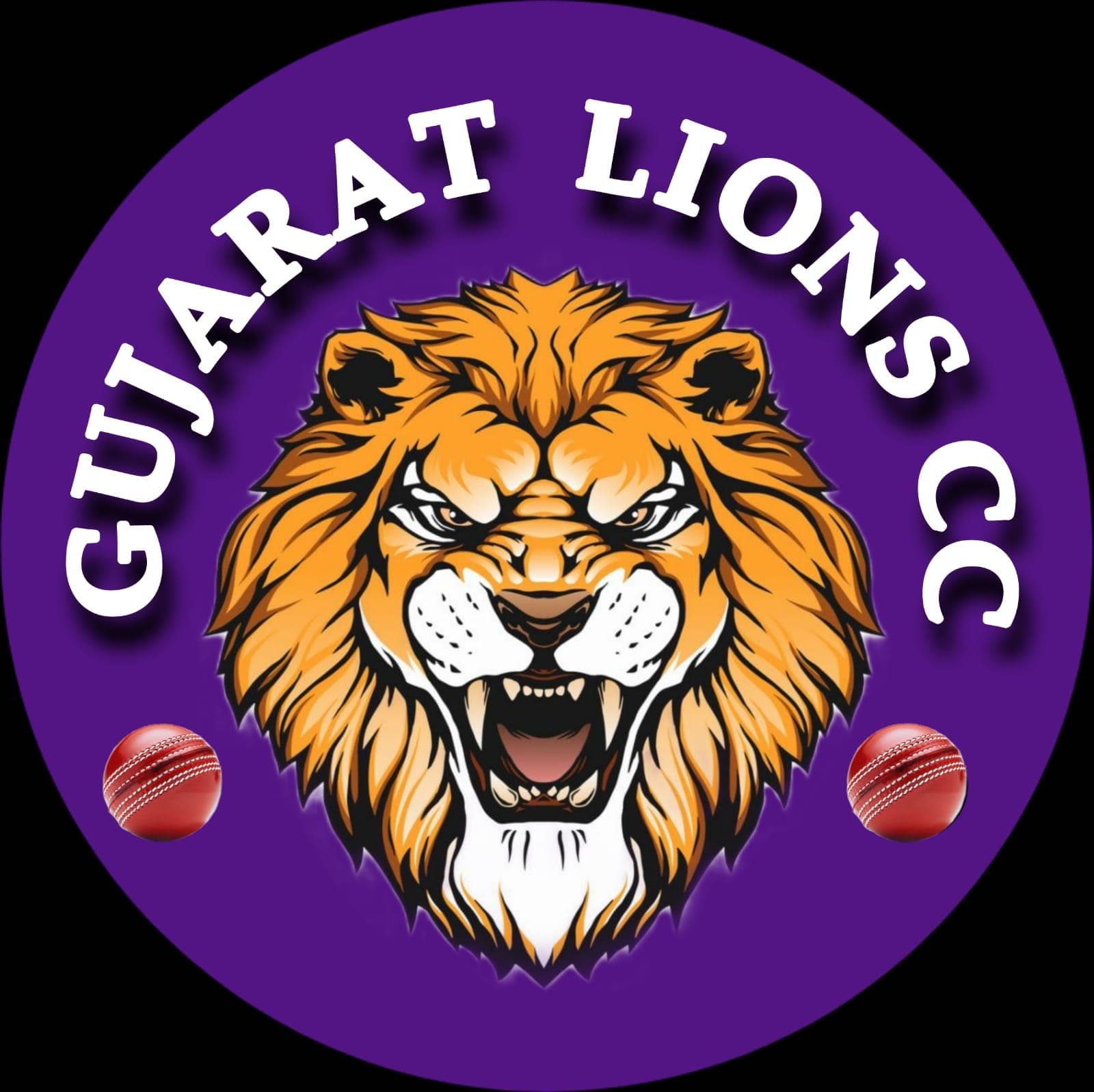 Gujarat Lions CC