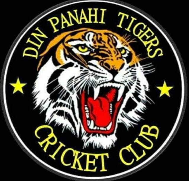 Din Panahi Tigers Cricket Club team logo