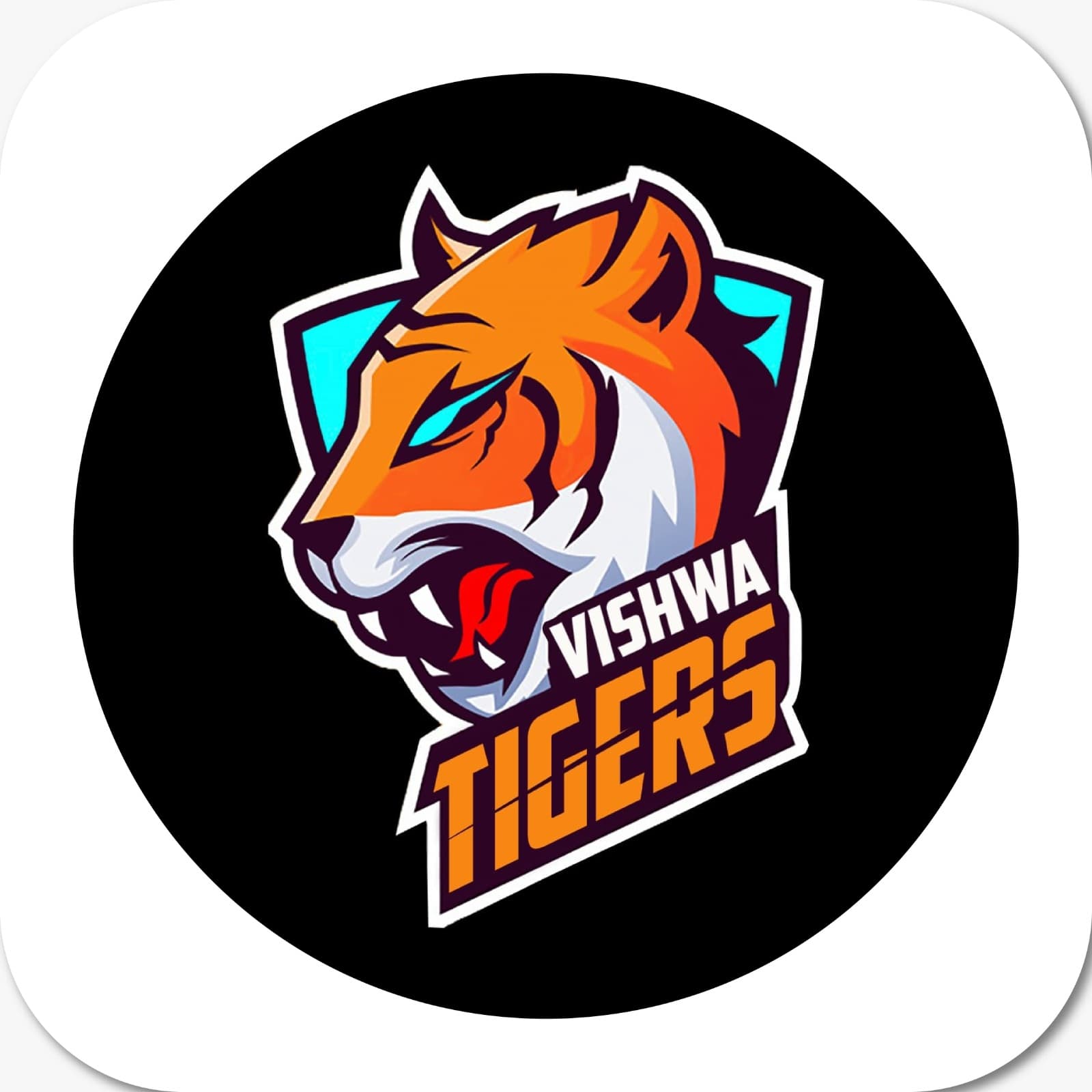 Vishwa Tigers team logo