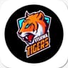 Vishwa Tigers