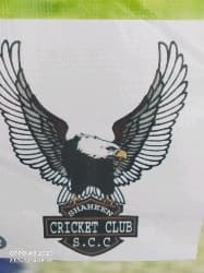 shaheen zalmi team logo