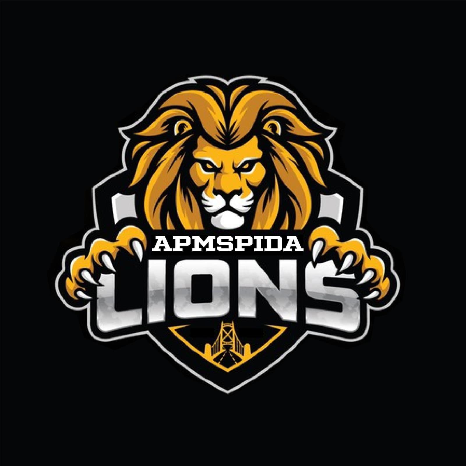 APMSPIDA LIONS team logo