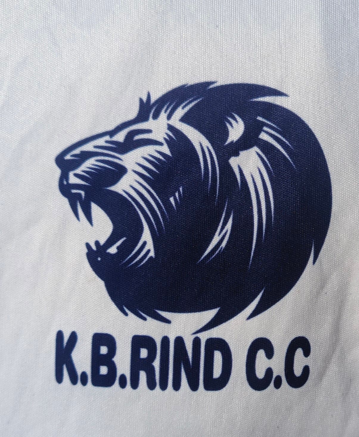 Mir Kareem Bakhsh Rind Cricket Club Usta Muhammad team logo