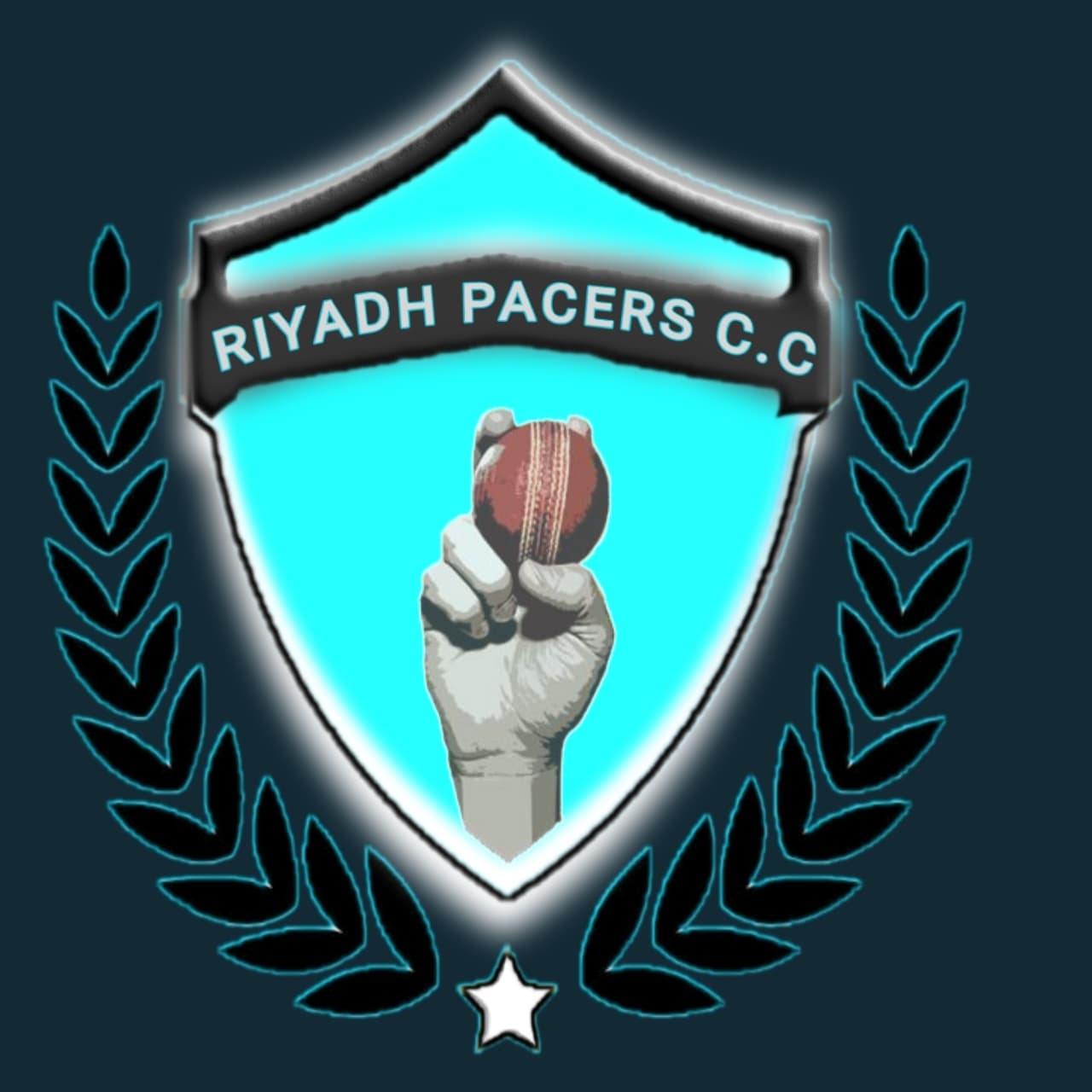 DAWOOD team logo