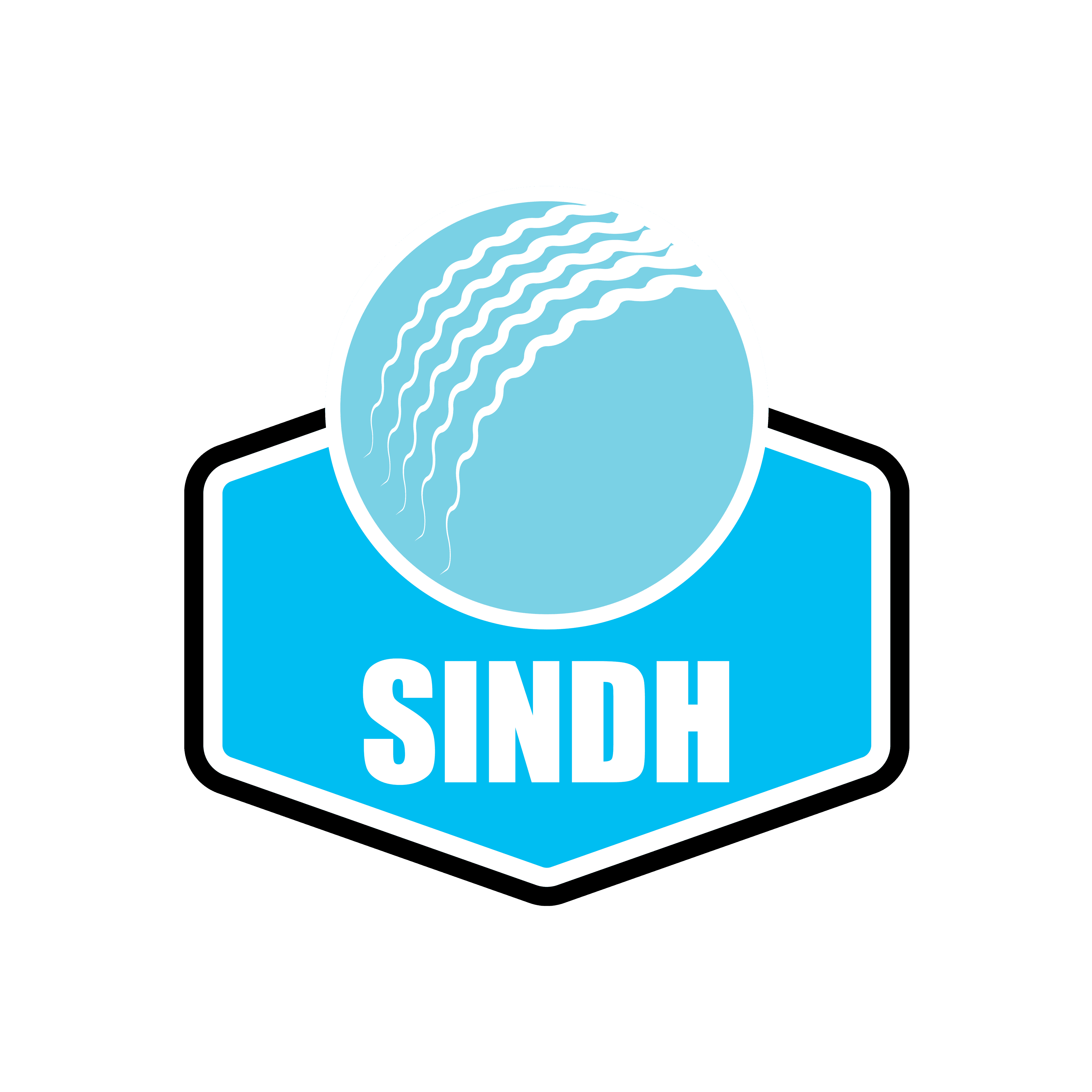 Sindh Blind