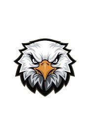 Eagles