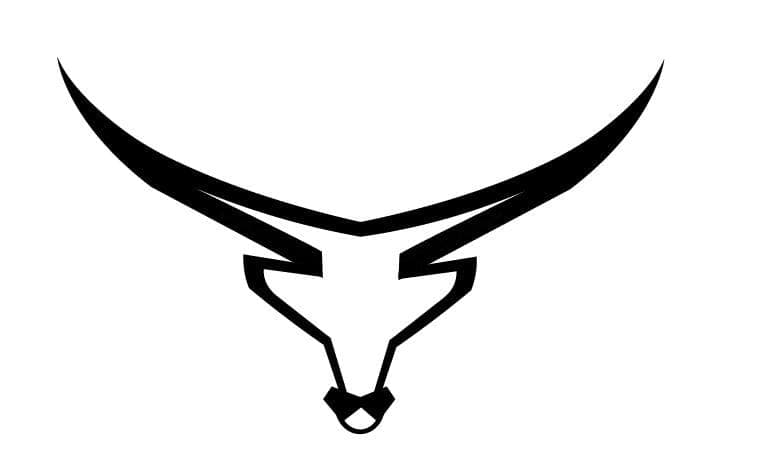 The Bully Team team logo
