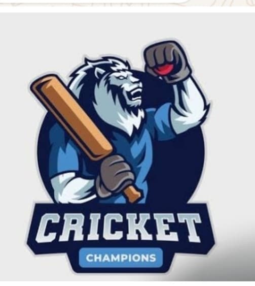DECENT CRICKET CLUB team logo
