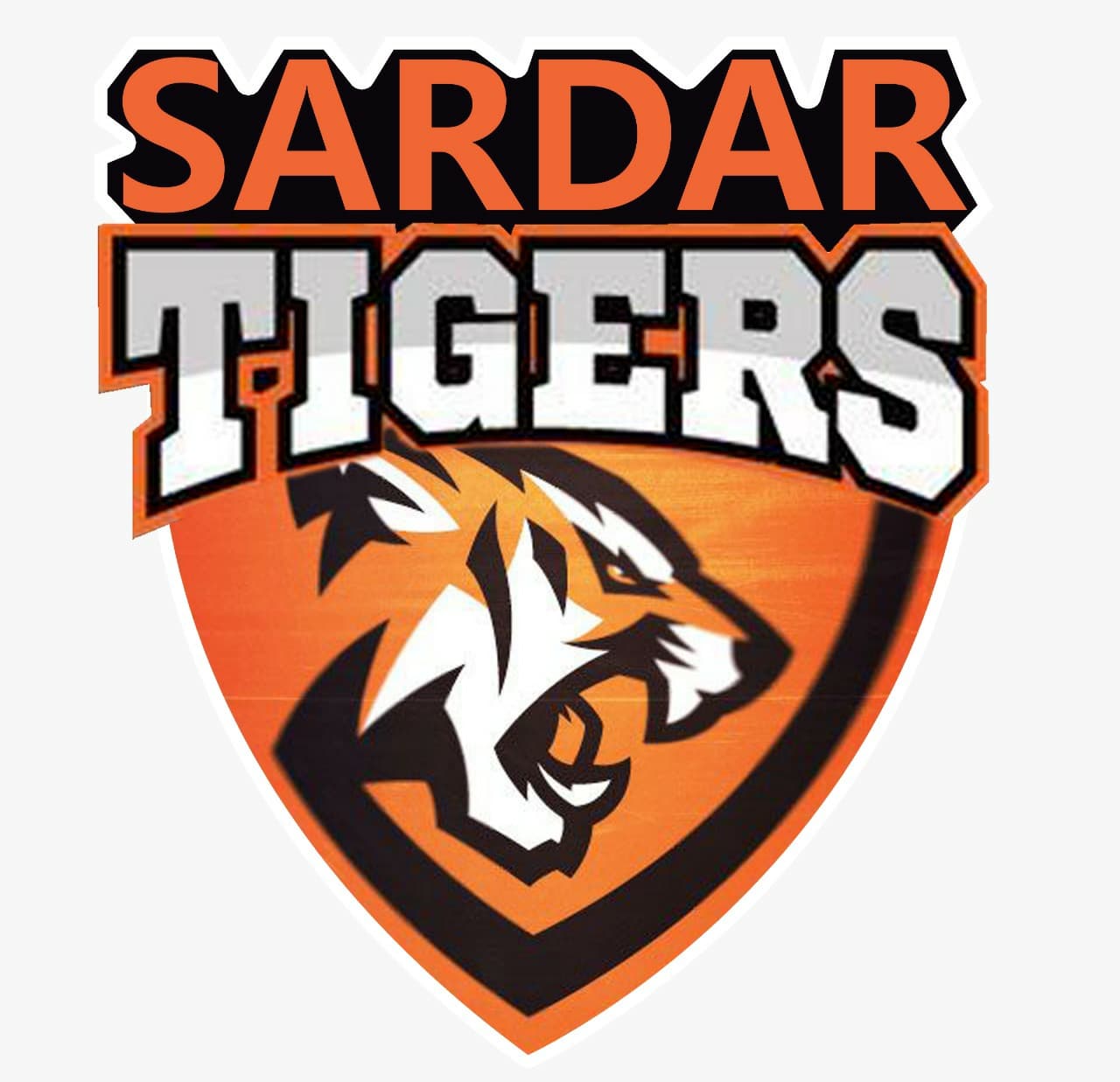Sardar Tigers team logo