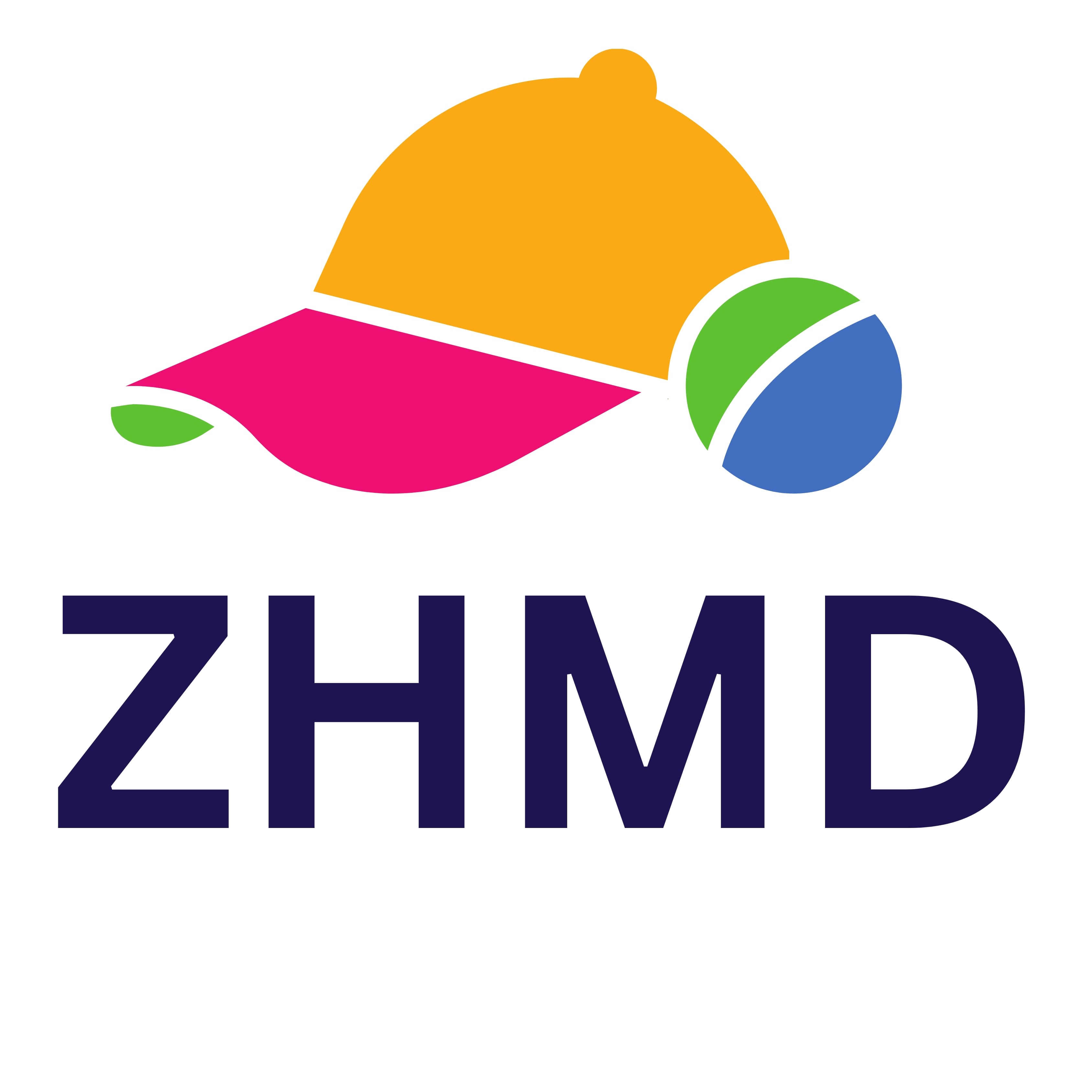 ZHMD team logo