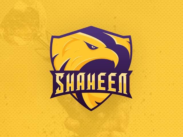 Shaheen team logo