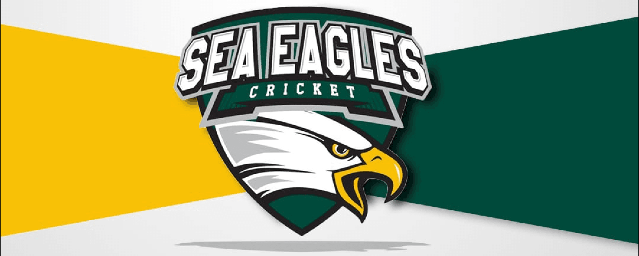 Sargodha Eagle team logo