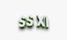 SS Xi