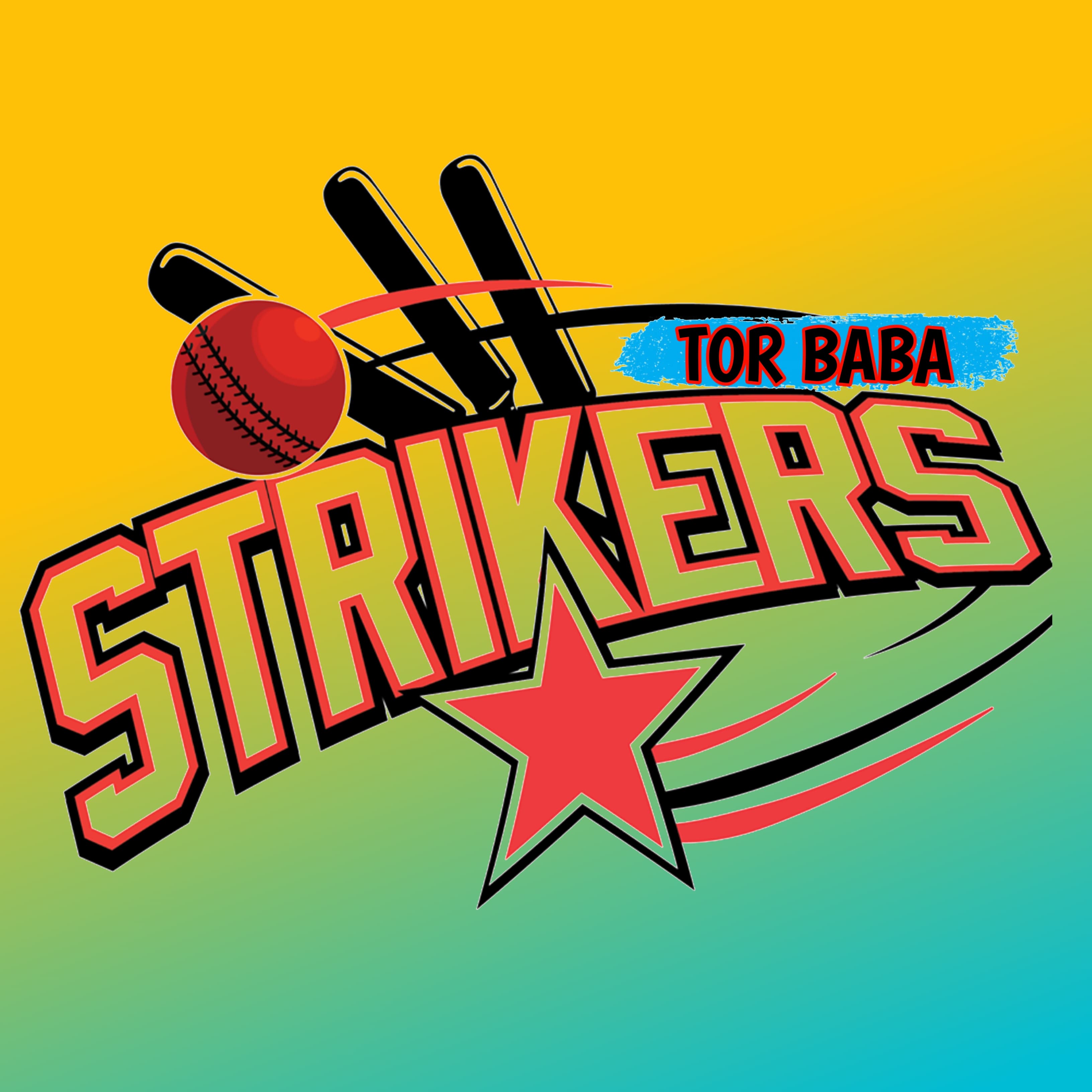 Torbaba Strikers