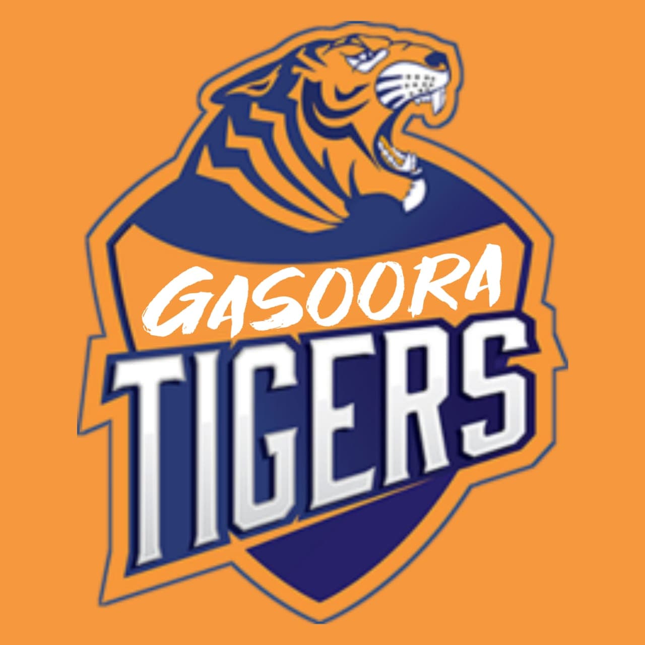GASOORA TIGERS team logo