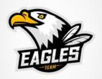 FSD EAGLES
