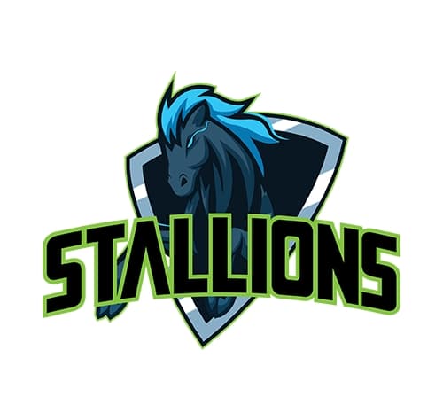 STALLIONS team logo