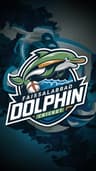 FAISALABAD DOLPHIN