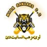 NIDA SANGARS