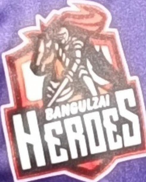 Bangulzai Heroes team logo