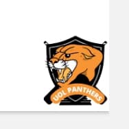 UCMD PANTHERS team logo