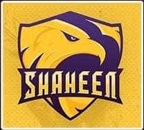 ACAS Shaheen team logo