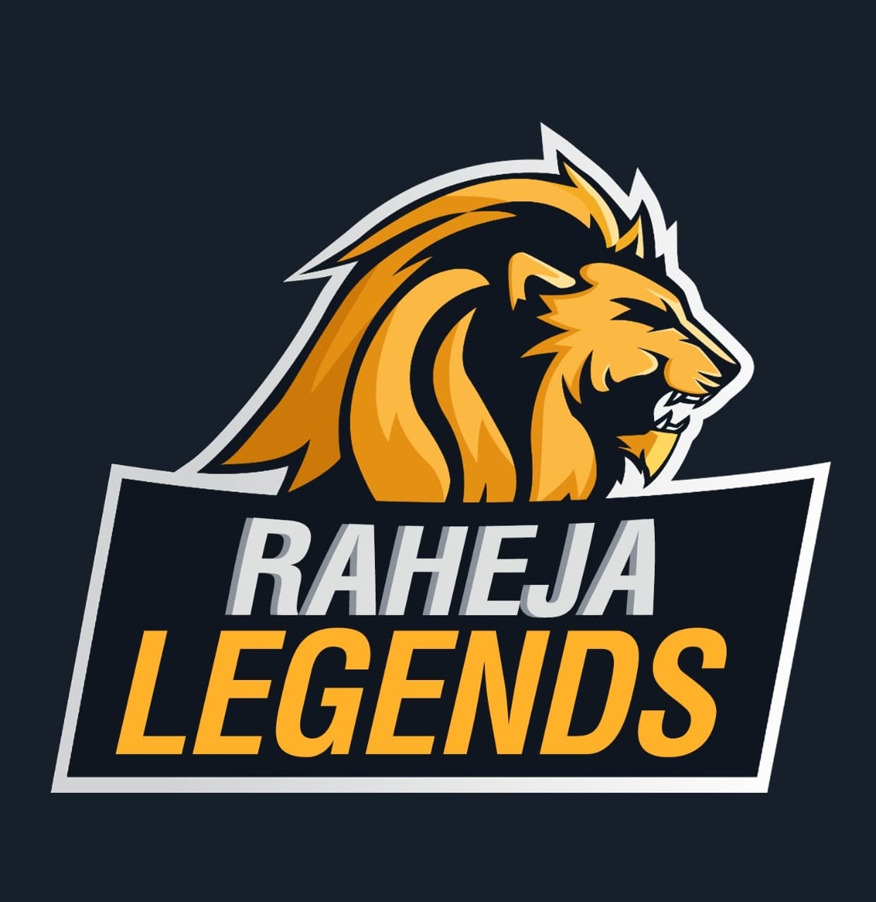 RAHEJA LEGENDS team logo