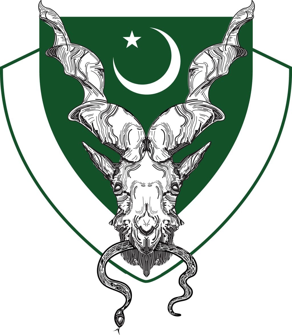 Irrigation Colony Stars team logo